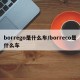 borrego是什么车/borreco是什么车