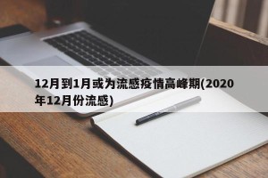 12月到1月或为流感疫情高峰期(2020年12月份流感)
